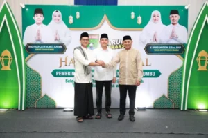 e24fdc58-2eda-4868-987f-59822950297e-800x533-1